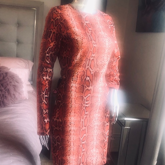 Orange python print stretch dress - Picture 5 of 5